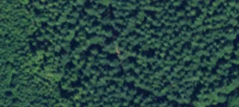 Level Corner Commercial Land