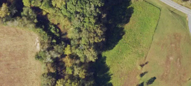 Agricultural Land with Wooded Area