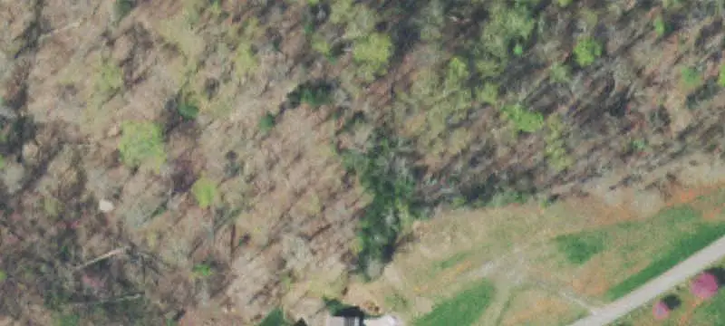 Wooded Residential Land