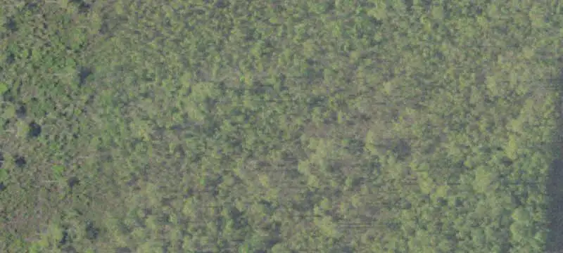 Bulkheaded Waterfront Land