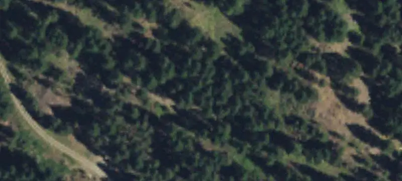 Heavily Treed Recreational Land