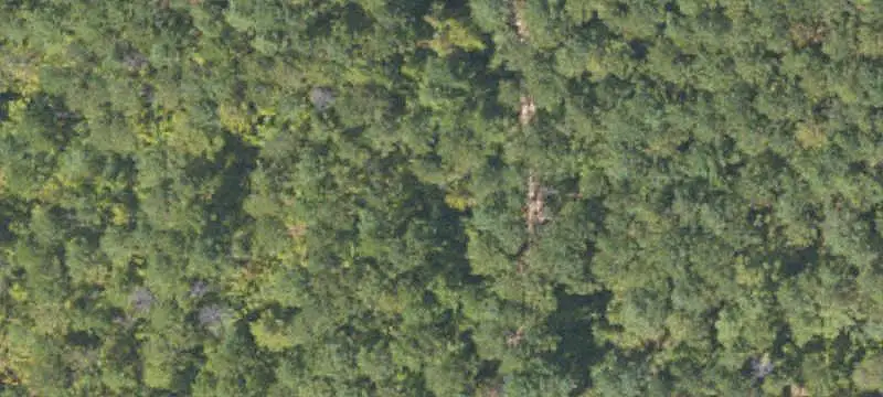 Lots/Land
