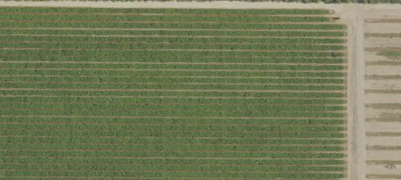 Agricultural Ranch With Residences