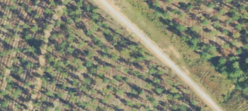 Wooded Recreation Land