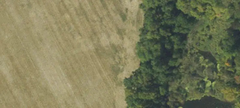 Open Farmland with Road Access