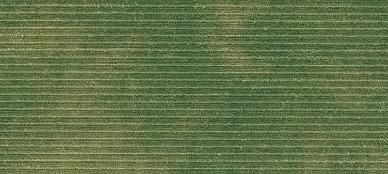 Commercial Land with Utilities