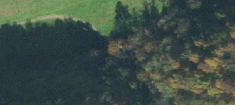 Surveyed Hunting Land with Cabin