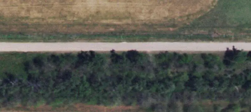 Partially Wooded Farmland