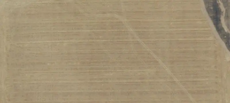 Irrigated Agricultural Land