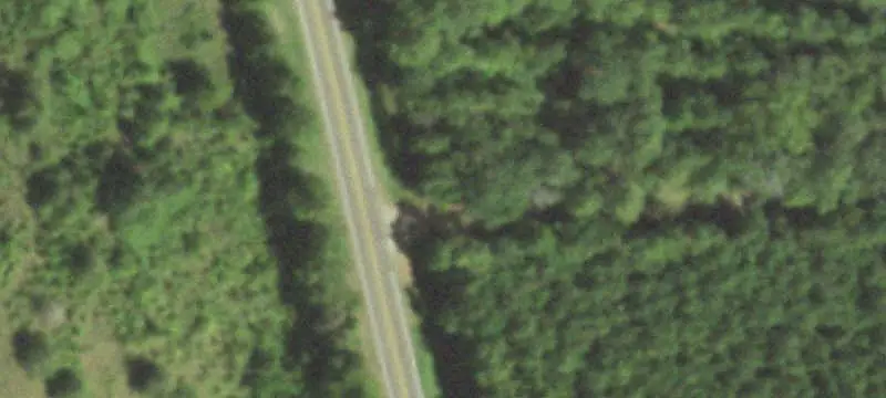Timbered Hunting Land