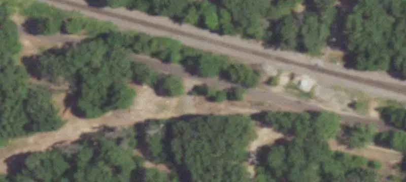 Wooded Hunting Land
