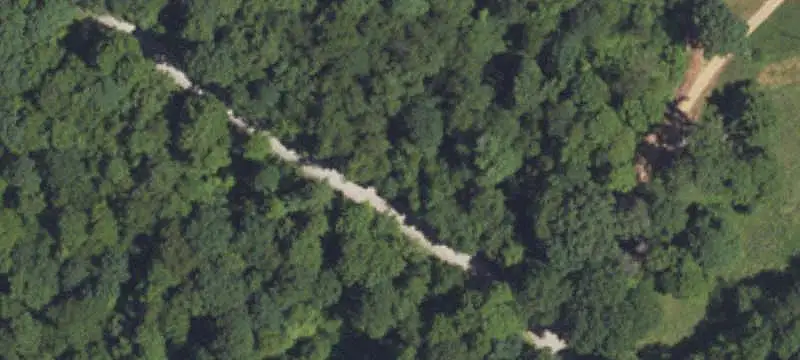 Wooded Hunting Land