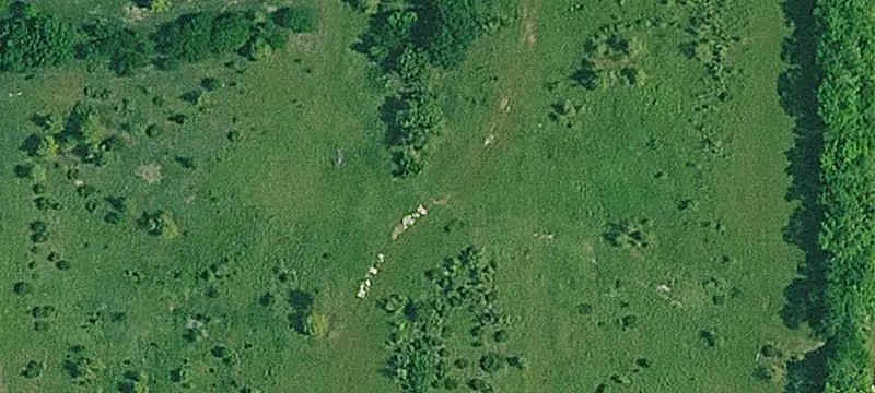Commercial Land Development Site