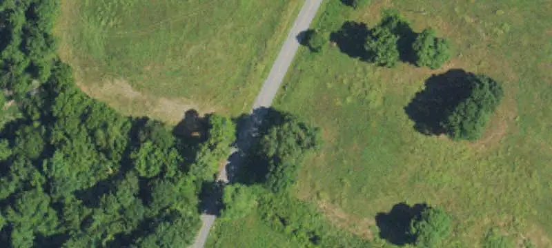 Wooded Hunting Land