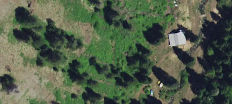 Hunting Land with Cabin
