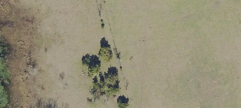 Fenced Agricultural Land