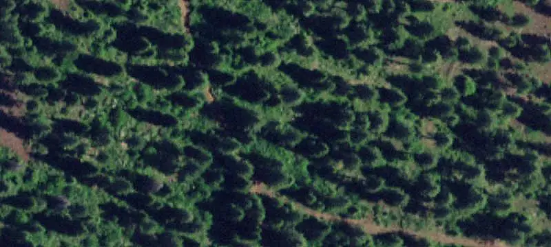 Land / Unimproved Land