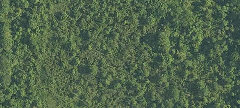 Fenced Agricultural Land