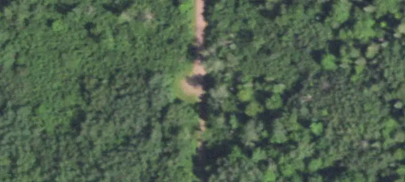 Managed Forest Hunting Land