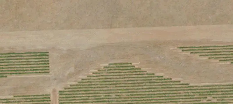 Vineyard Ranch with Irrigation Well
