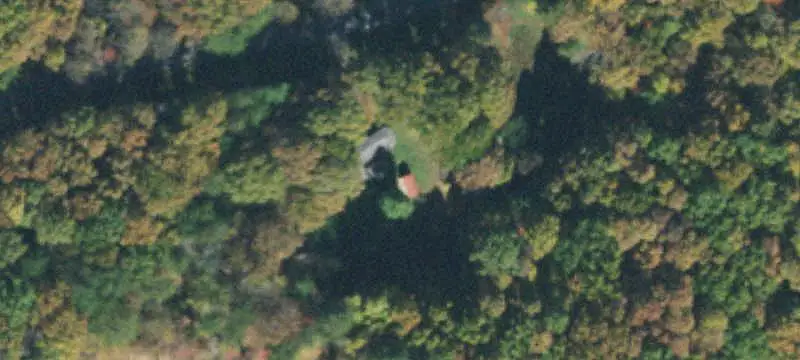Wooded Hunting Land