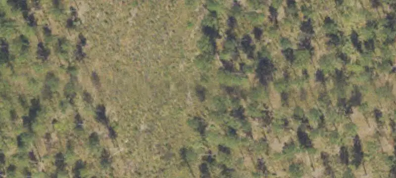 Land Along Lakeside Road