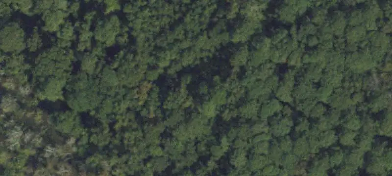 Lots/Land