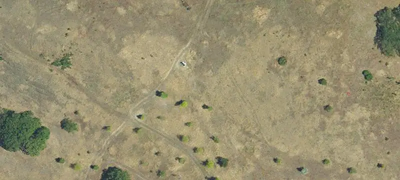 Land with Established Arboretum
