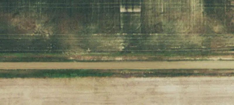 Fenced Dryland Pasture