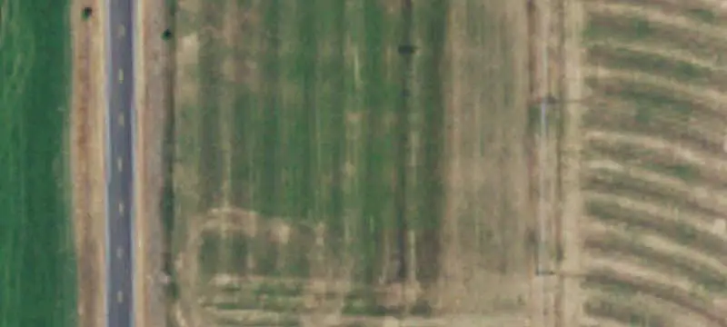 Irrigated Agricultural Land