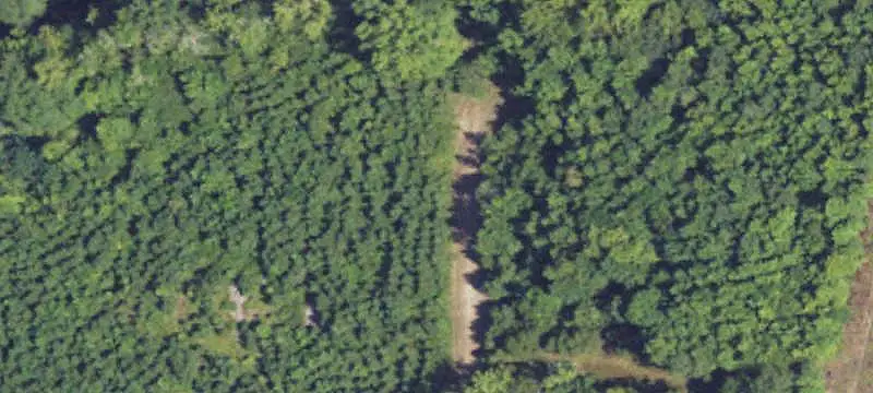 Rural Land Tract