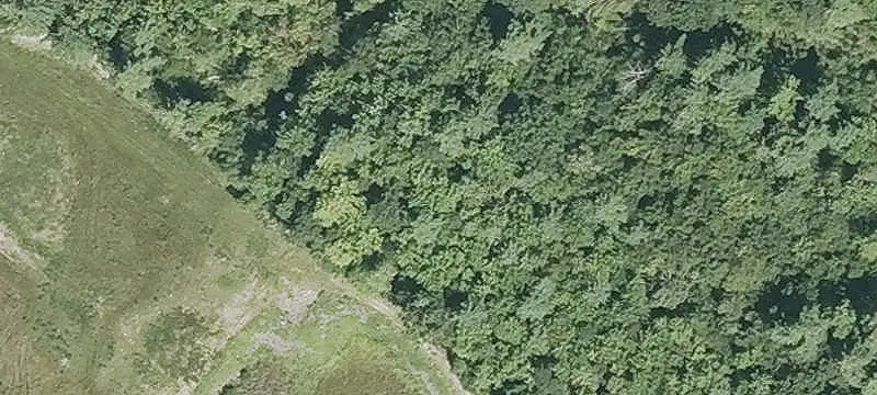 Commercial Land with Cell Tower Lease