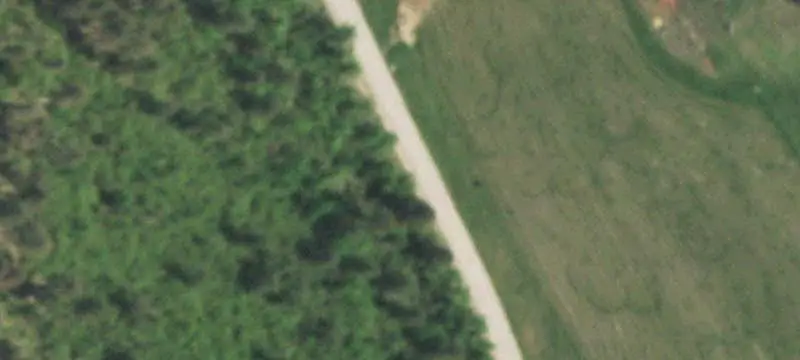 Wooded Mountain Land