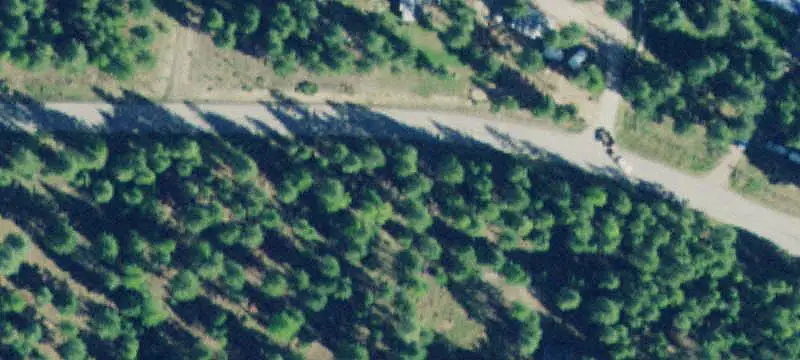 Treed Land Bordering State Land