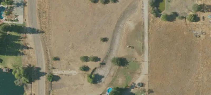 Certified Organic Almond Farm