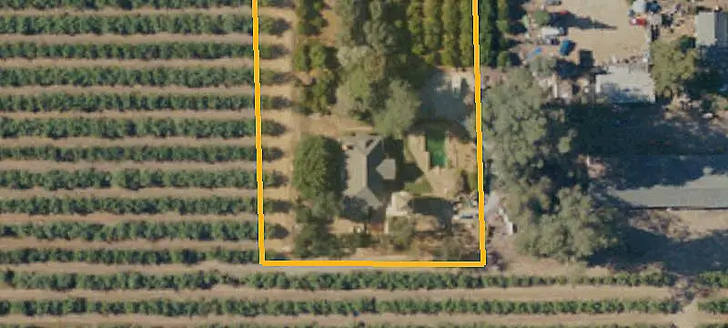 Almond Farm with Irrigation