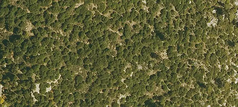 Land / Rural