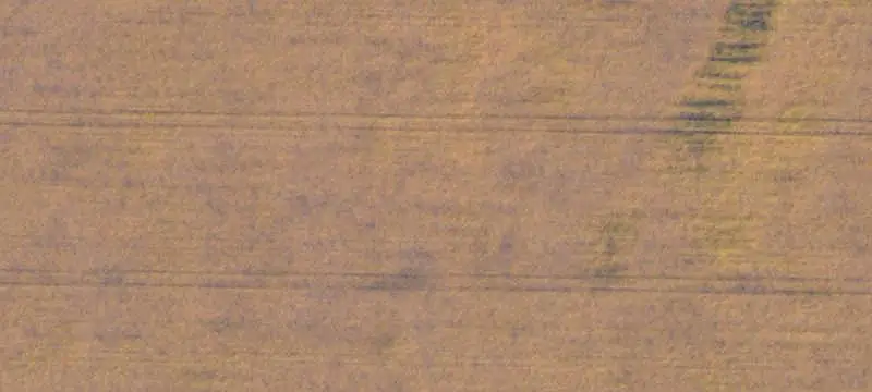 Red River Valley Farmland
