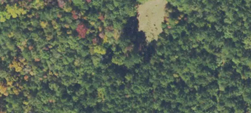 Hunting Land with Dwelling
