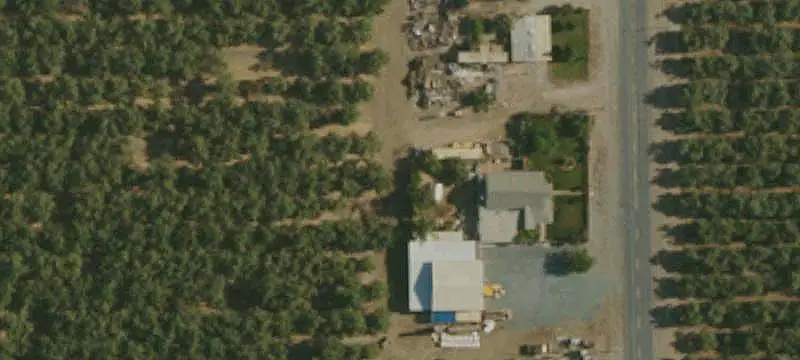 Mature Almond Farm