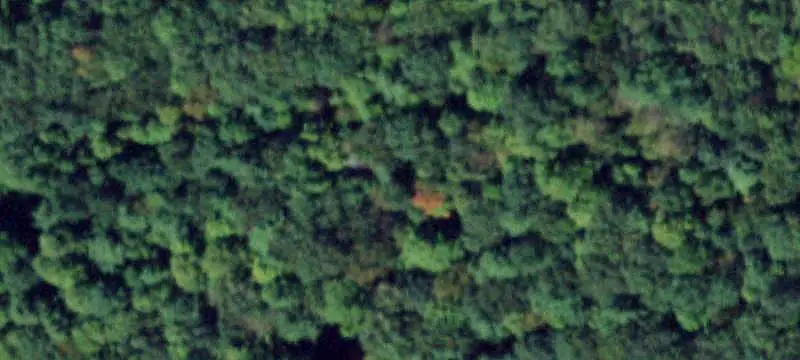 Land / Cabin