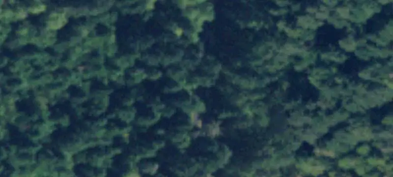 Forested Waterfront Land