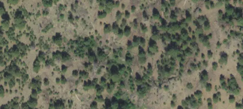 Recreation Land with Live Creek