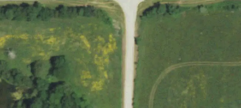 CRP Farm with Wooded Draws