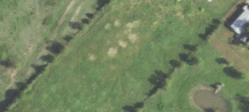 Land