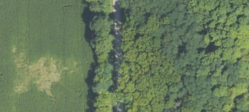 Lots/Land