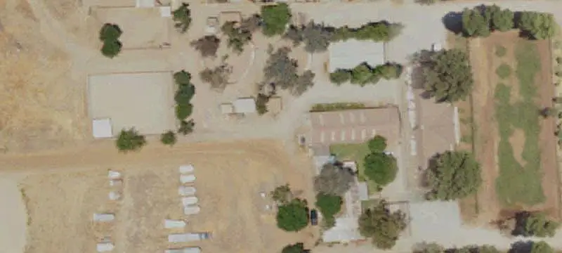 Producing Vineyard