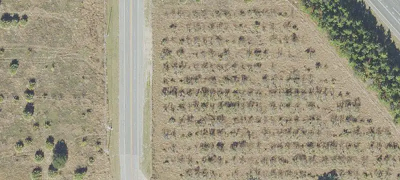 Entitled Medical Office Development Land