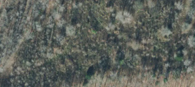 Agricultural Land with Log Cabin