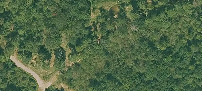 Wooded Creekside Land